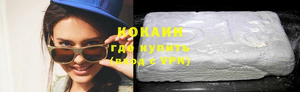 гидра Надым