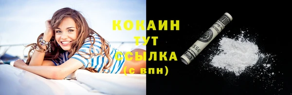 гидра Надым