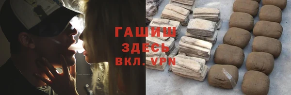 гидра Надым