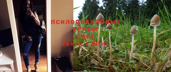 амф Абинск