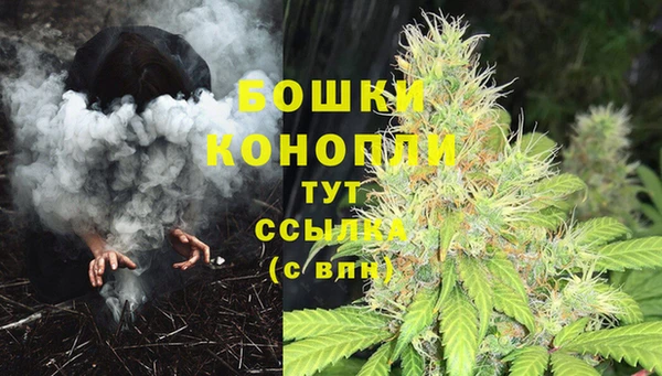 PSILOCYBIN Абдулино